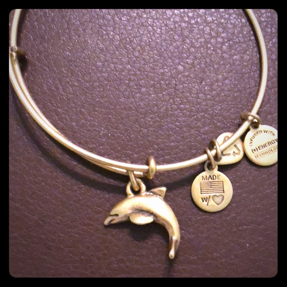 Alex and Ani dolphin bangle bracelet
